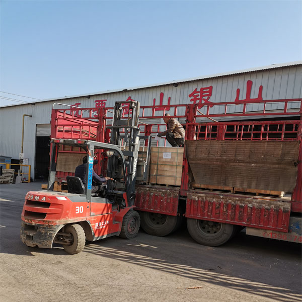 1608692578136681.jpg 11.jpg